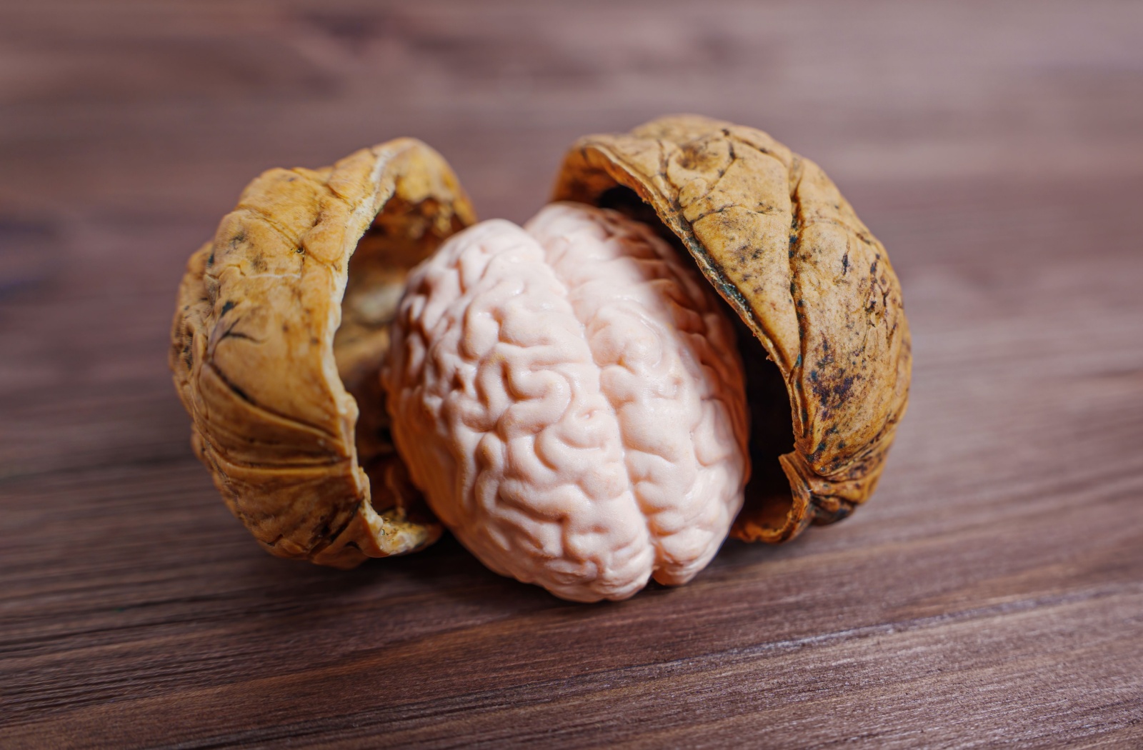 A cracked open walnut reveals a model of a human brain, symbolizing how walnuts and other nuts support cognitive health