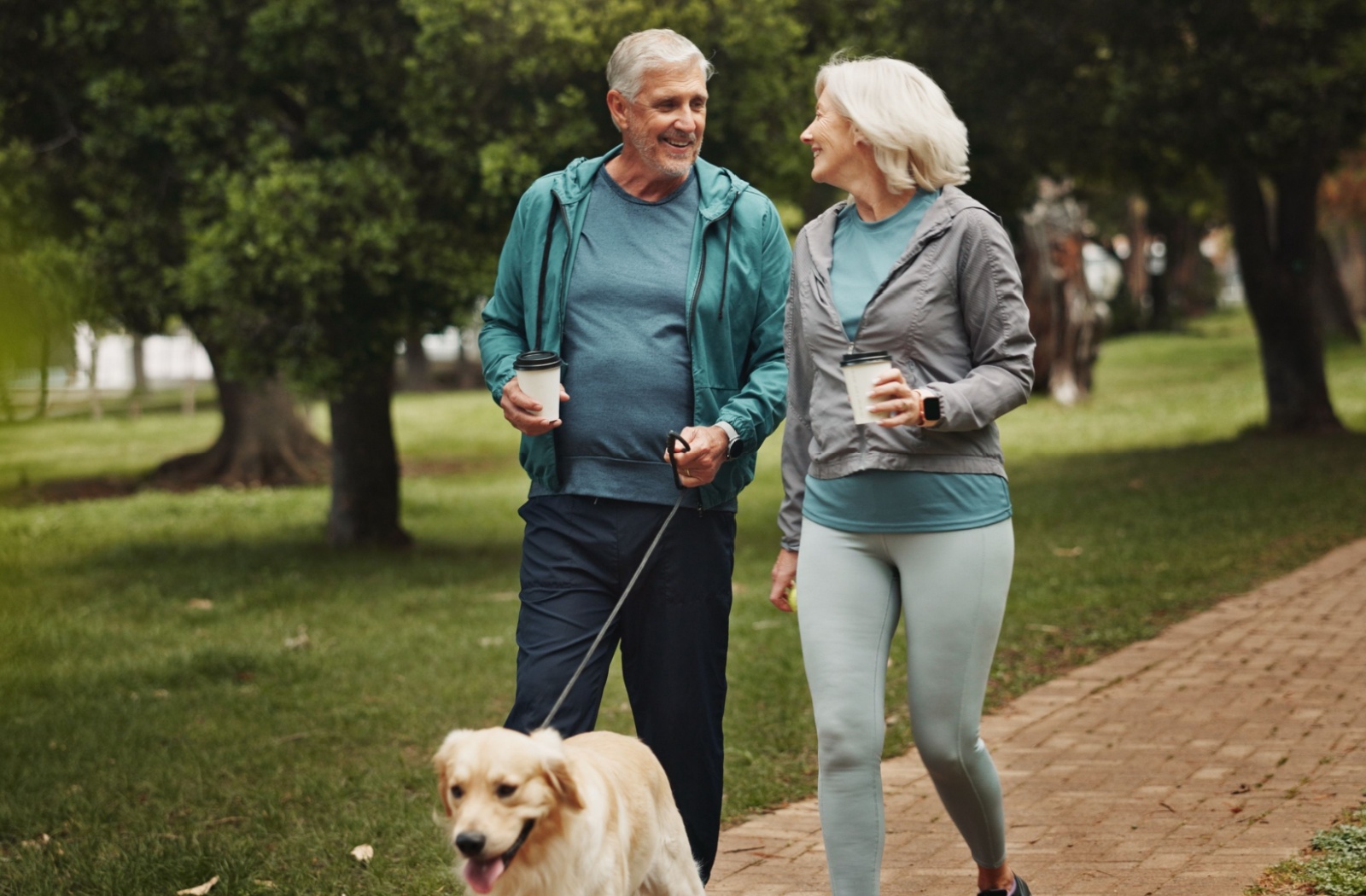 seniors walking together in a park with a dog