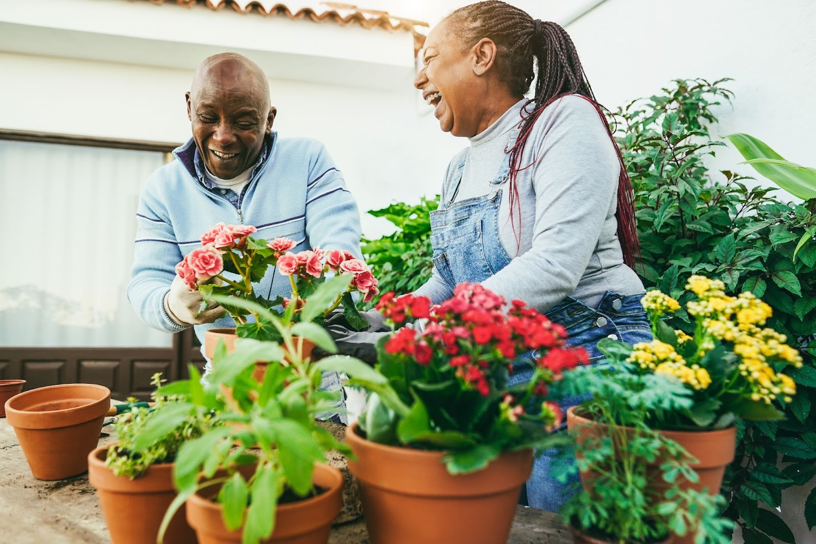 Two older adults laugh together while potting numerous brightly colored flowers into terra cotta pots.