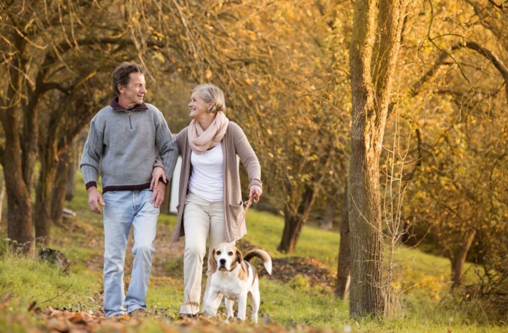 A mature couple are walking their dog in a park.