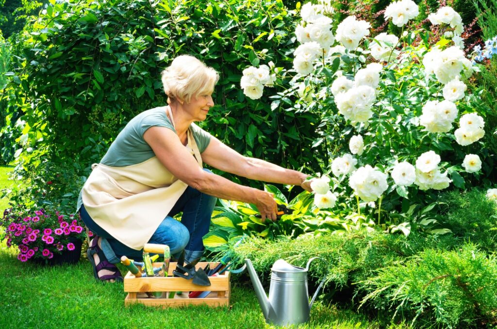 An older adult tending to a garden with gardening tools and a watering can.